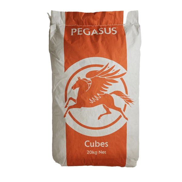 egasus horse cubes